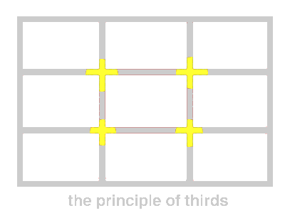 picture of the principles of thirds